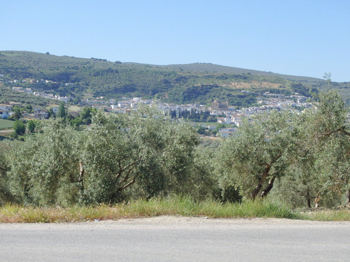 A suburb of the town of Montefr&iacute;o.